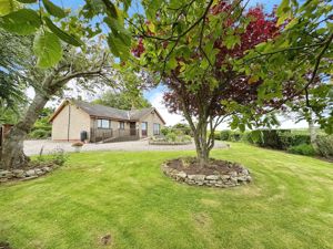 Photo 8- click for photo gallery